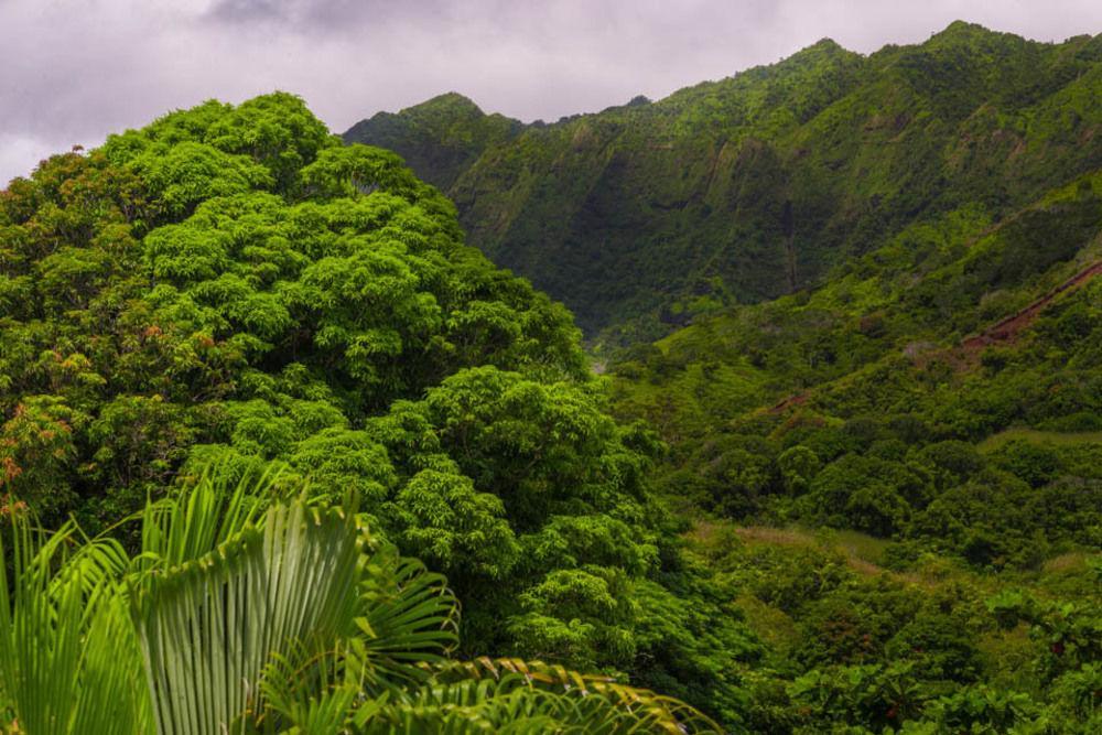 Hale Ho'O Maha Bed And Breakfast Hanalei Zewnętrze zdjęcie